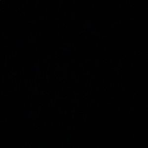 Meet your Posher, Tony